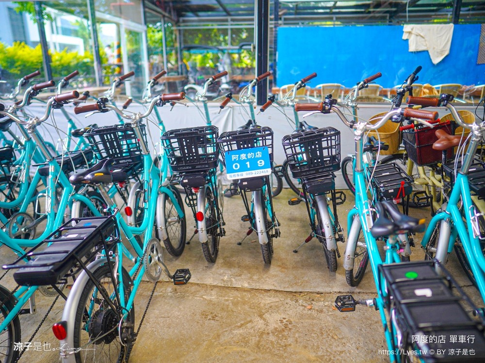 阿度的店 台東景點 鹿野 租車 電動單車遊 綠色隧道 躺馬路 體驗 自行車