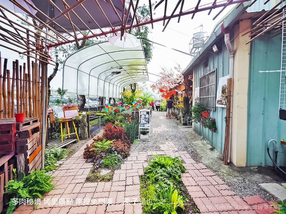 多肉秘境 埔里景點 南投免門票