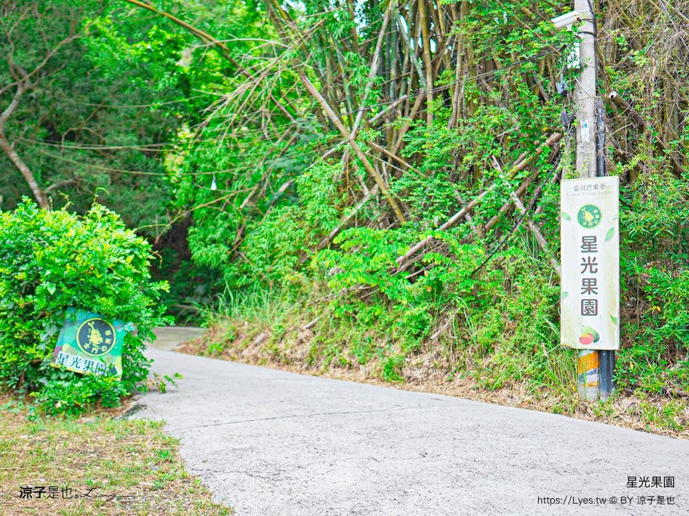 星光 親子景點 免費採果活動 台南農場 台南露營 diy 採芒果體驗 自然的鬥士