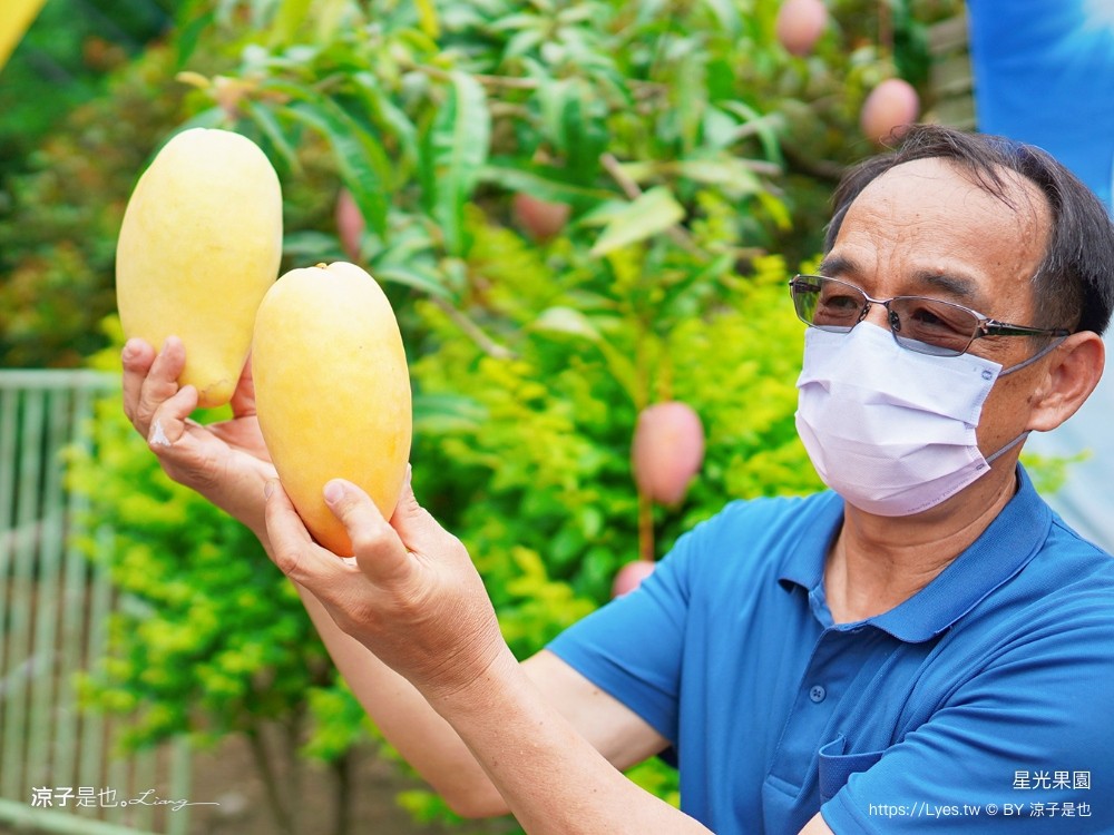 星光 親子景點 免費採果活動 台南農場 台南露營 diy 採芒果體驗 自然的鬥士