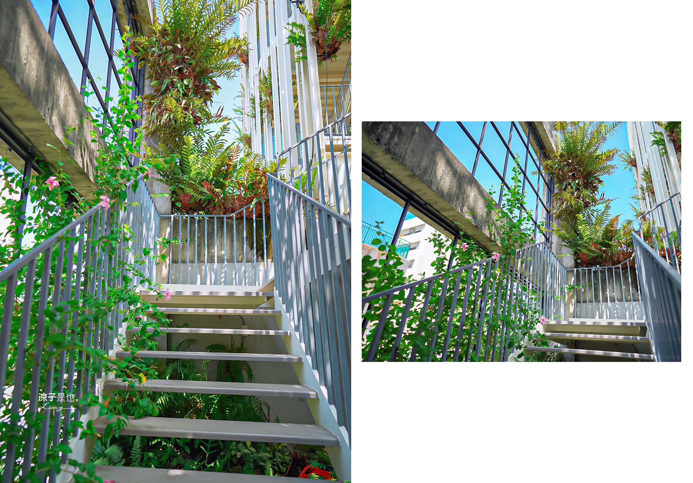 南埕衖事 菜單 2022台南爆紅景點 森林系網美 冰淇淋店 伴手禮 飯店改建 日本建築大師 藤本壯介 迷路