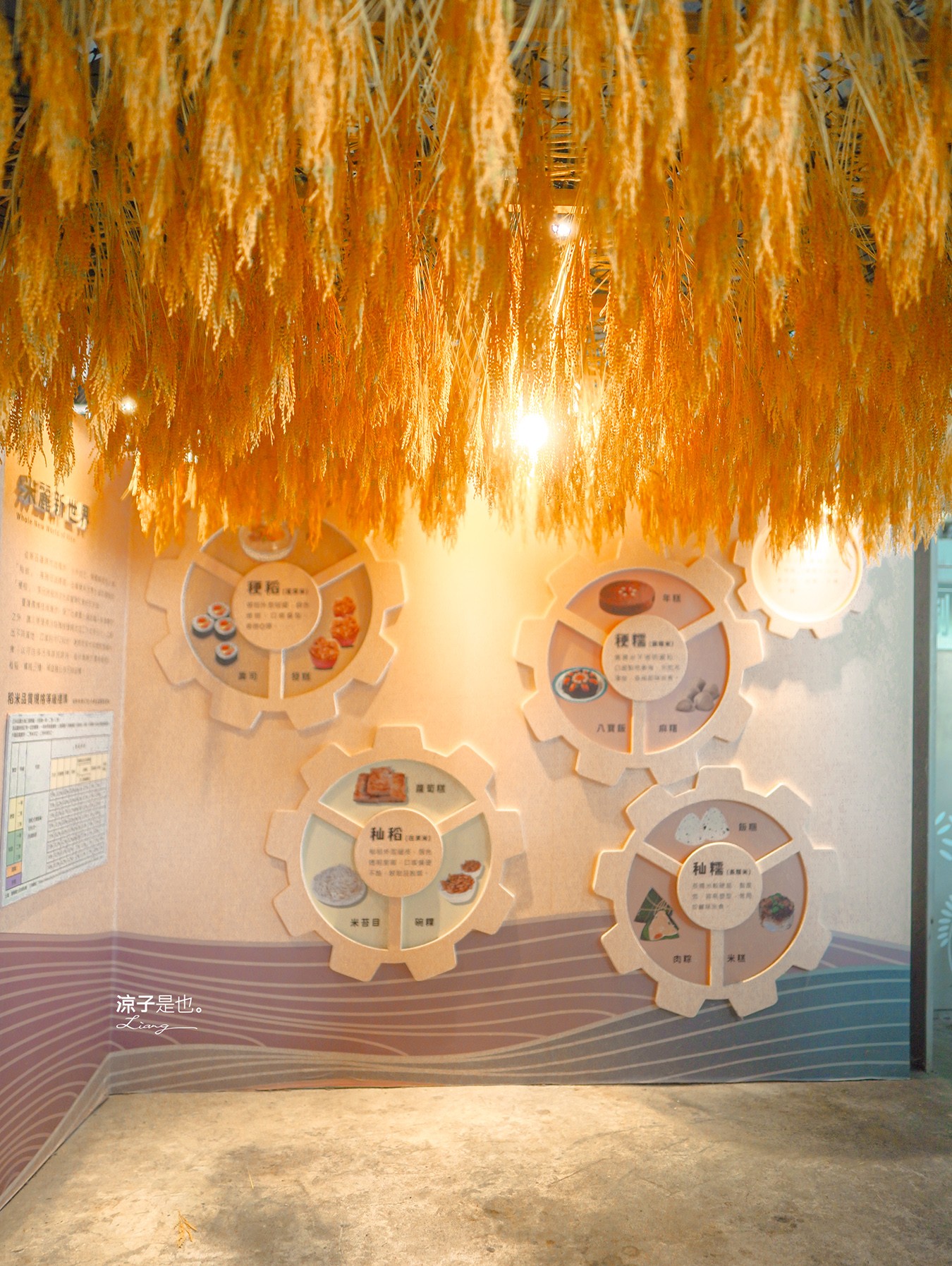 米國學校 關山鎮農會休閒旅遊中心 台東親子景點 關山景點 關山美食 關山米 古早味便當 免門票