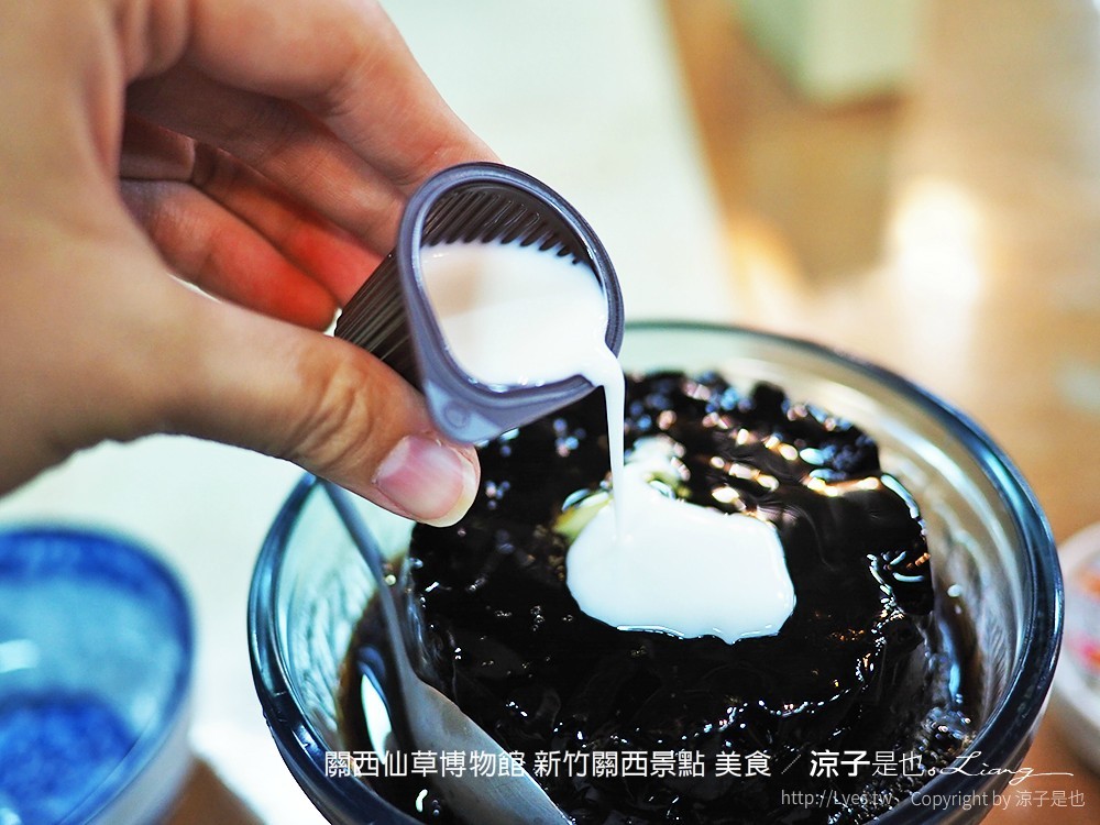 關西仙草博物館 新竹關西景點 美食