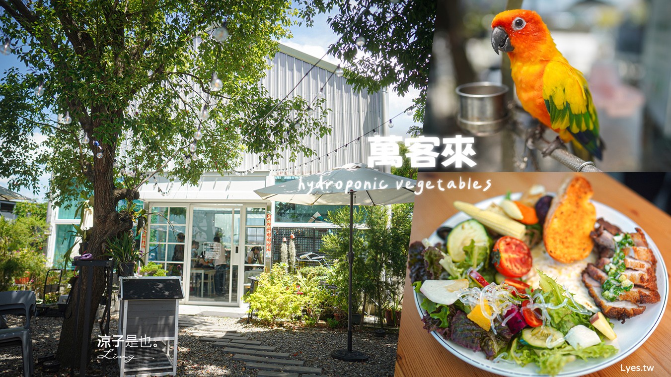 萬客來水耕蔬菜微型智慧農場 菜單 台南餐廳 台南美食 玻璃屋餐廳 台南景觀餐廳 早午餐