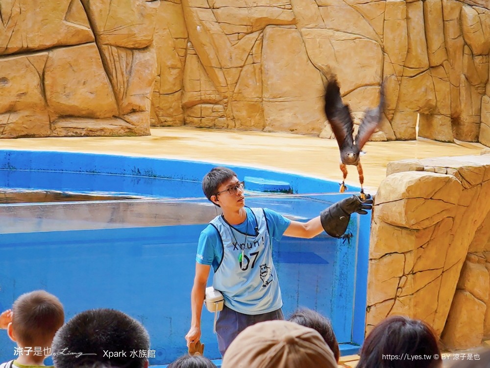 xpark水族館 門票優惠 桃園 親子景點 最新攻略 必看展區 美食餐廳 交通 停車 住宿