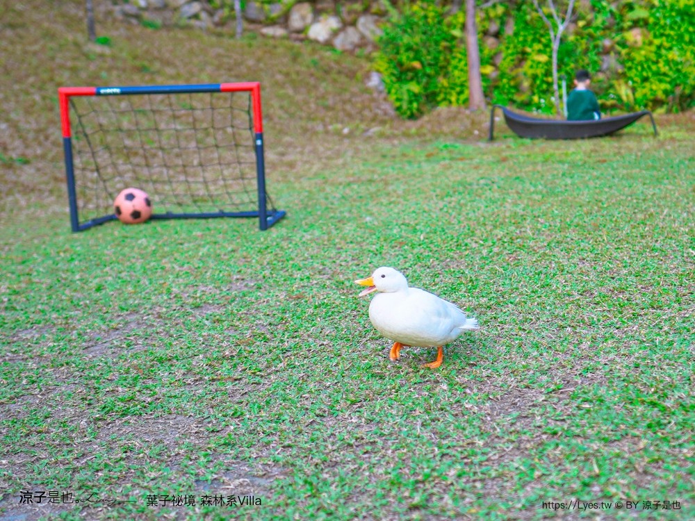葉子祕境 南投埔里民宿 森林住宿 豪華懶人露營 一泊二食 netflix disney 日月潭 早餐 晚餐