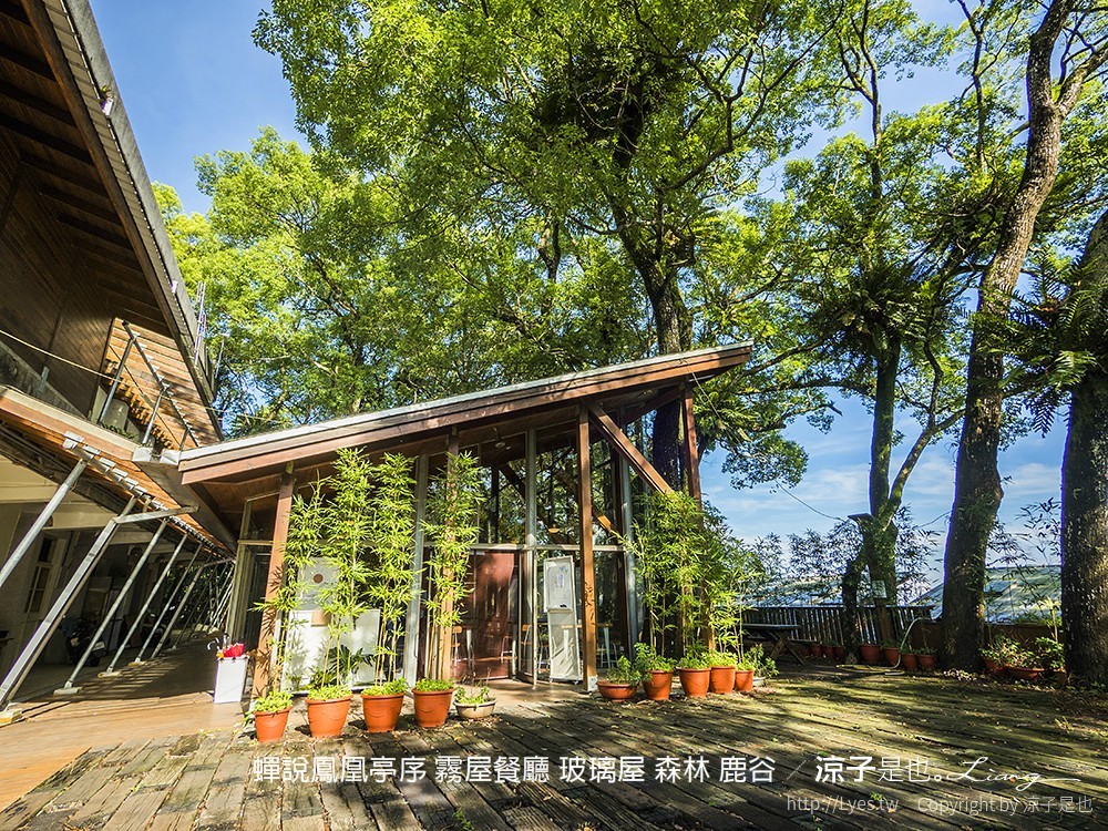 蟬說鳳凰亭序 霧屋餐廳 玻璃屋 森林 鹿谷