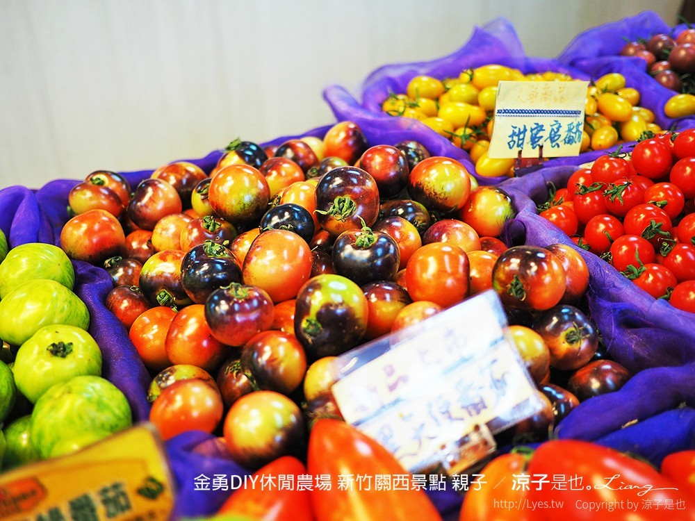 金勇DIY休閒農場 新竹關西景點 親子