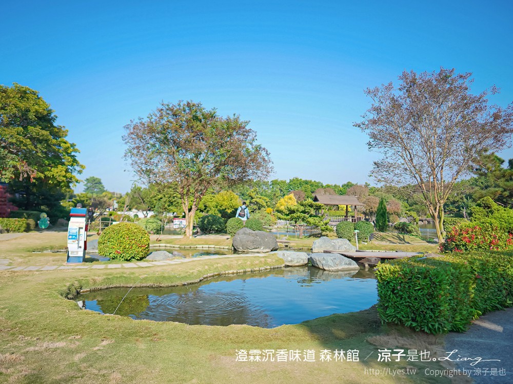 澄霖沉香味道森林館 雲林景點 愛心落羽松 湖畔步道 水之教堂 台版兼六園