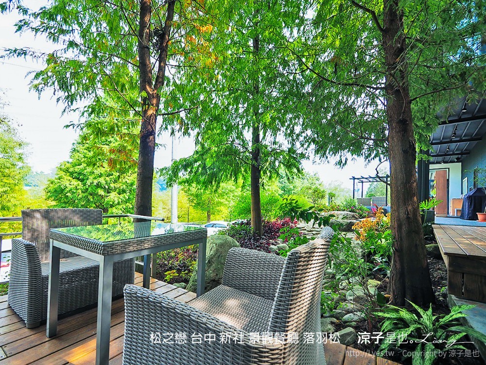松之戀 台中 新社 景觀餐廳 落羽松