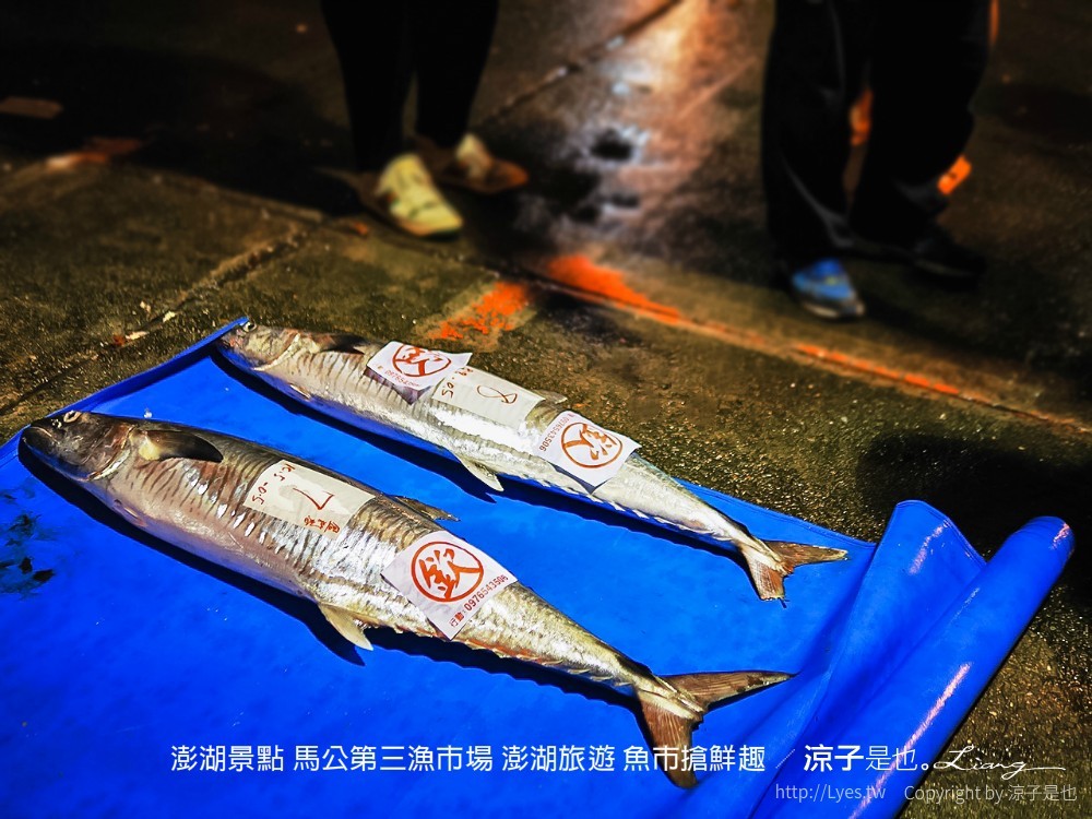 澎湖景點 馬公第三漁市場 澎湖旅遊 魚市搶鮮趣