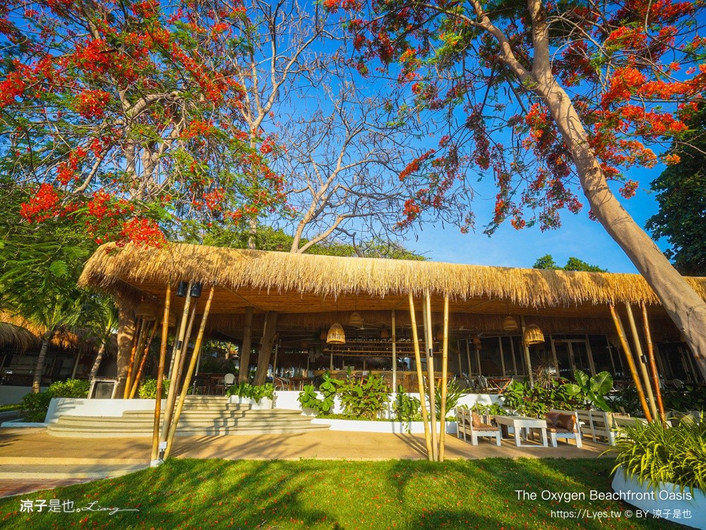 The Oxygen Beachfront Oasis 芭達雅 海景餐廳 芭達雅景觀餐廳 Phuket Restaurant 泰國景點