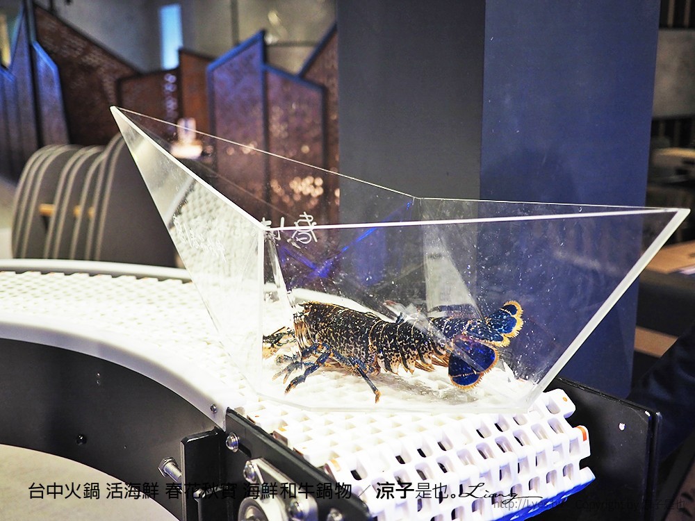 台中火鍋 活海鮮 春花秋實 海鮮和牛鍋物