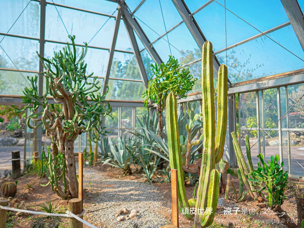 頑皮世界野生動物園攻略 門票優惠 台南親子景點 南台灣動物園 水豚君 長頸鹿 遊樂設施 戲水池