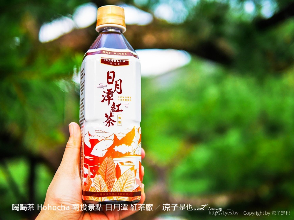 喝喝茶 hohocha 南投景點 日月潭 紅茶廠