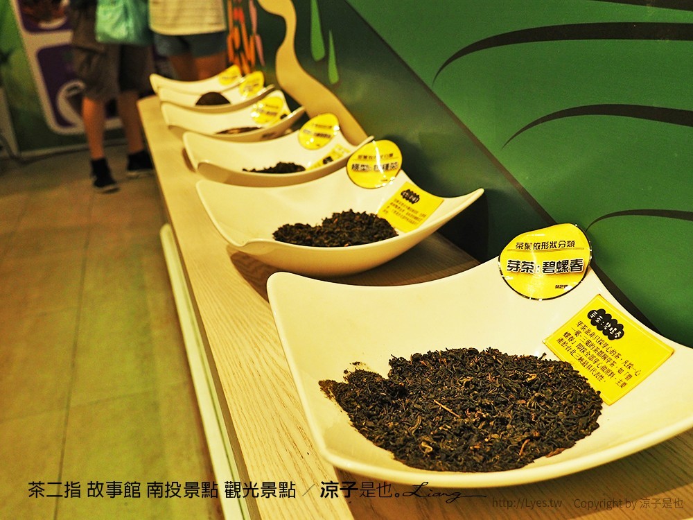 茶二指 故事館 南投景點 觀光景點