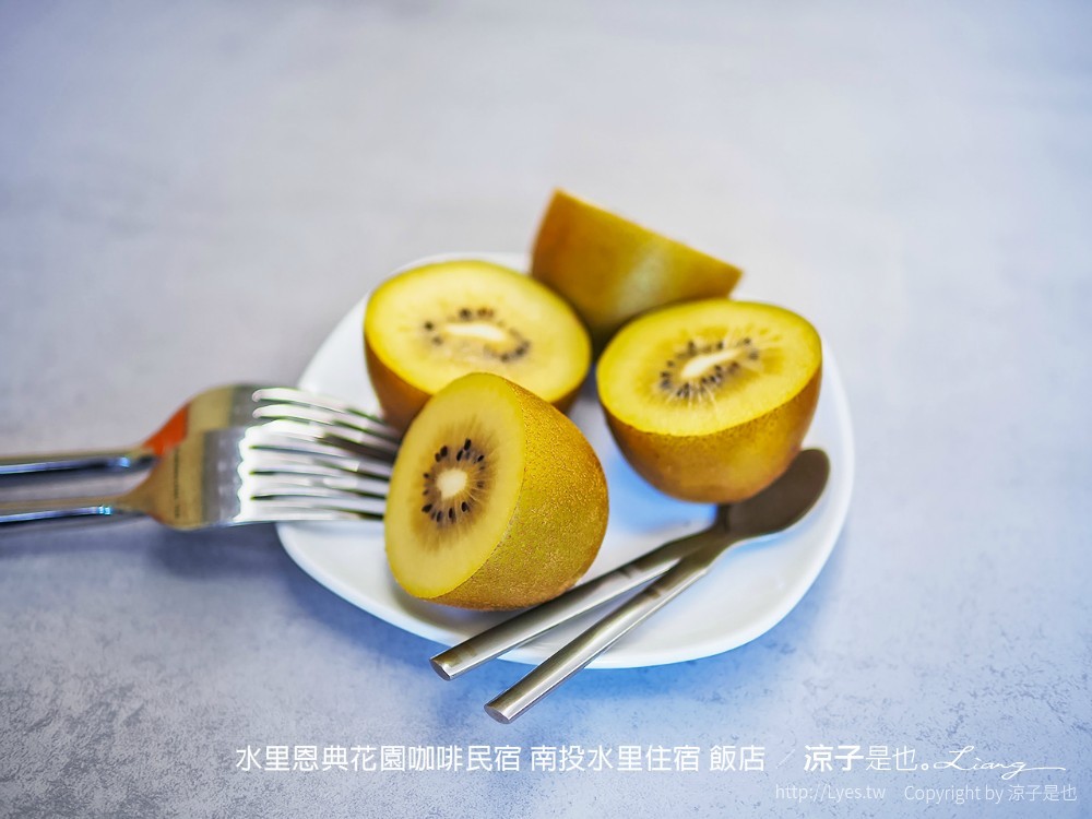 水里恩典花園咖啡民宿 南投水里住宿 飯店