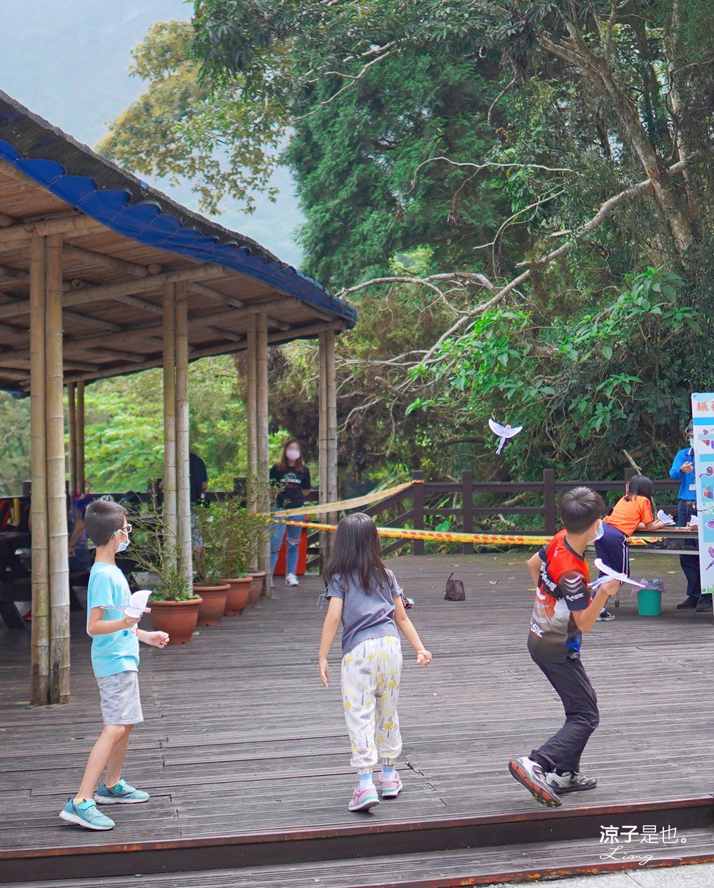 南投-鳳凰谷鳥園生態園區 推薦12大賞鳥主題區 x 森林溜滑梯 x 紙飛鳥DIY x 金剛鸚鵡互動 南投親子景點 來森林步道走走吧！
