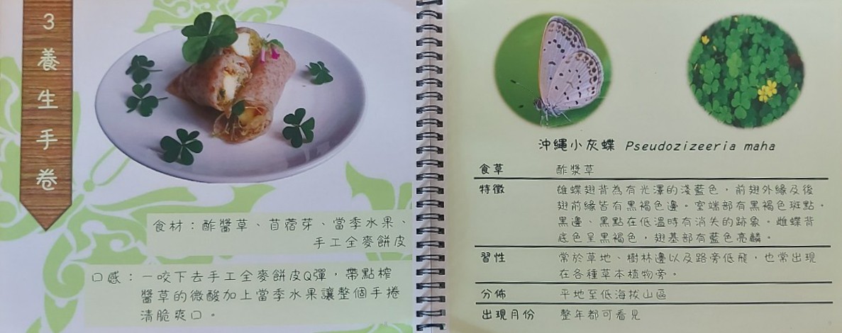 草本生活家 菜單 埔里美食 南投餐廳 預約制合菜餐廳 埔里桃米民宿 晚餐 南投住宿推薦