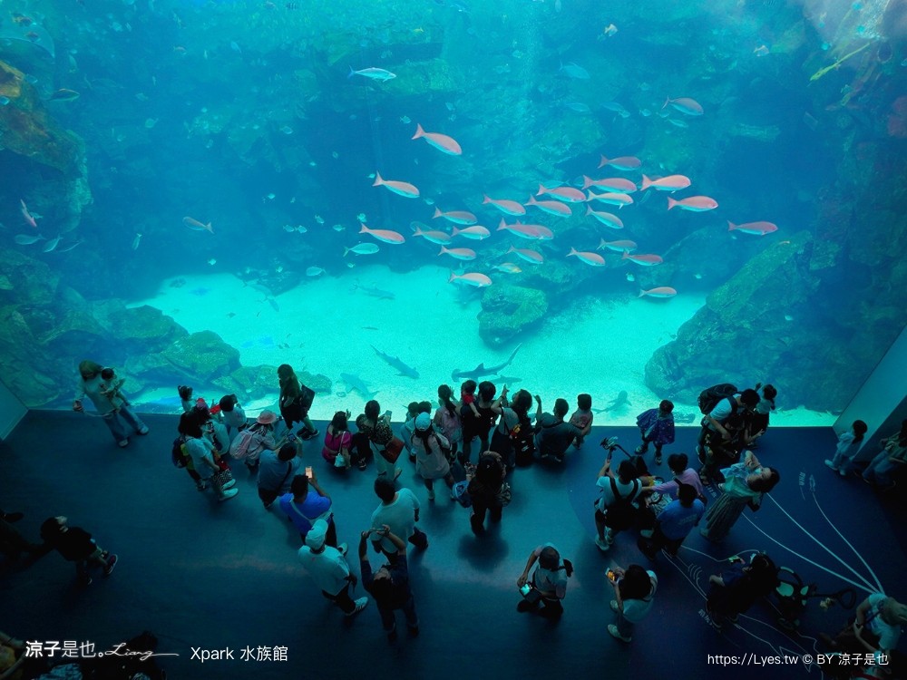 xpark水族館 門票優惠 桃園 親子景點 最新攻略 必看展區 美食餐廳 交通 停車 住宿