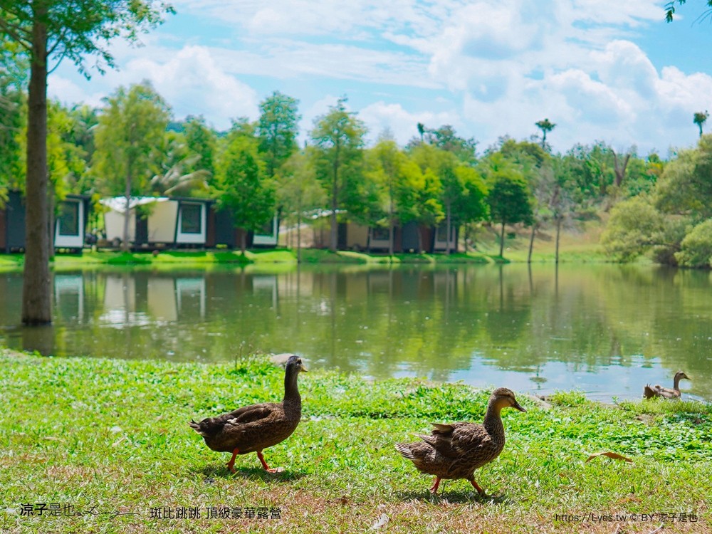斑比跳跳 苗栗住宿 三灣棕櫚灣 頂級豪華 苗栗親子景點 露營車房型 價位優惠 評價