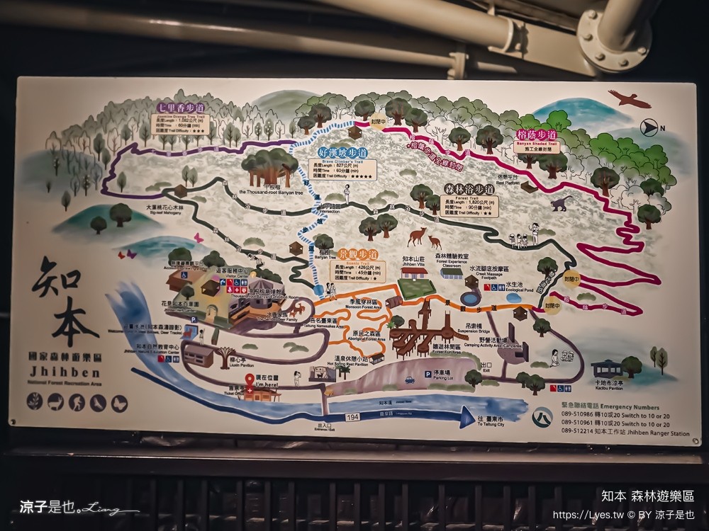 知本森林遊樂區 台東親子景點 夜探知森 夜間導覽 星象導覽 國家森林 台東景點 知本景點