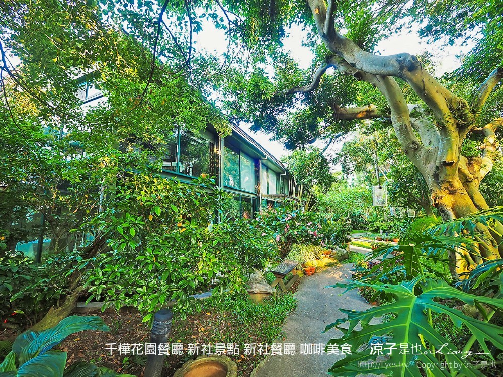 千樺花園餐廳 新社景點 新社餐廳 咖啡美食