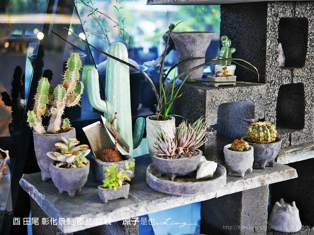 酉 田尾 彰化景點 園藝 盆栽