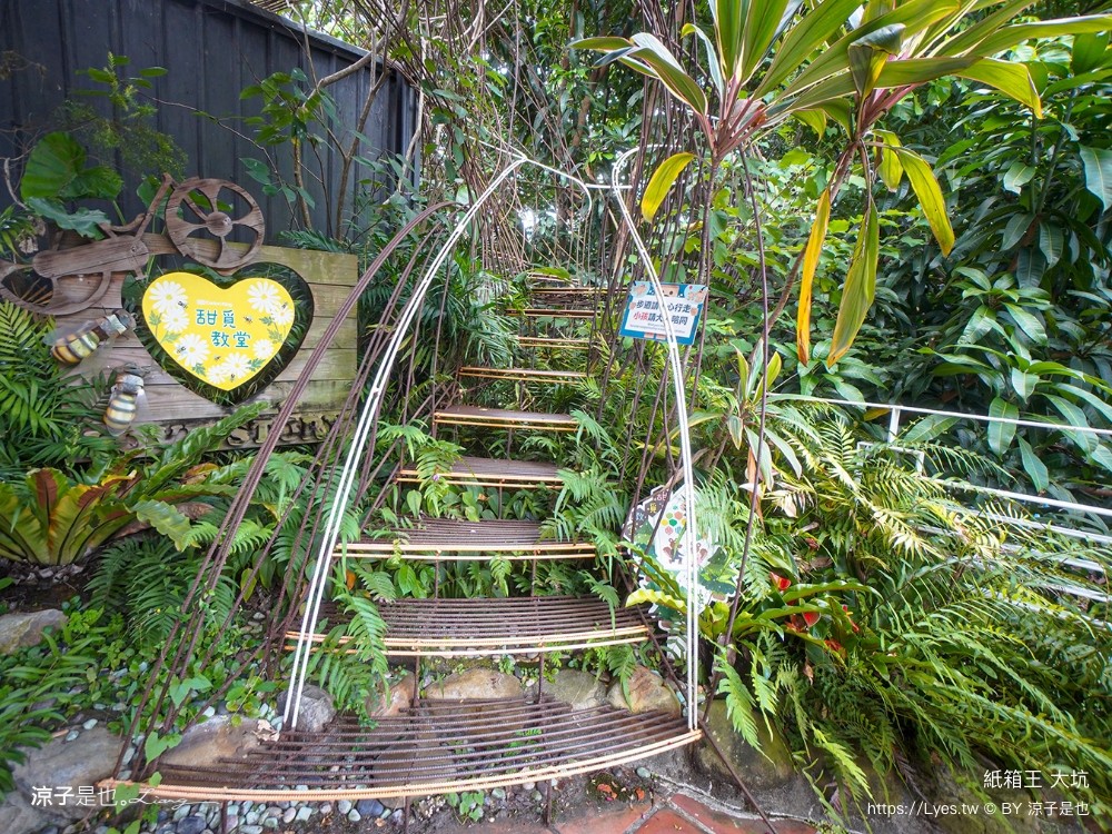 紙箱王 門票收費 台中大坑景點 親子景點 diy 紙箱王小火車 台中一日遊 親子旅遊 台中親子餐廳推薦