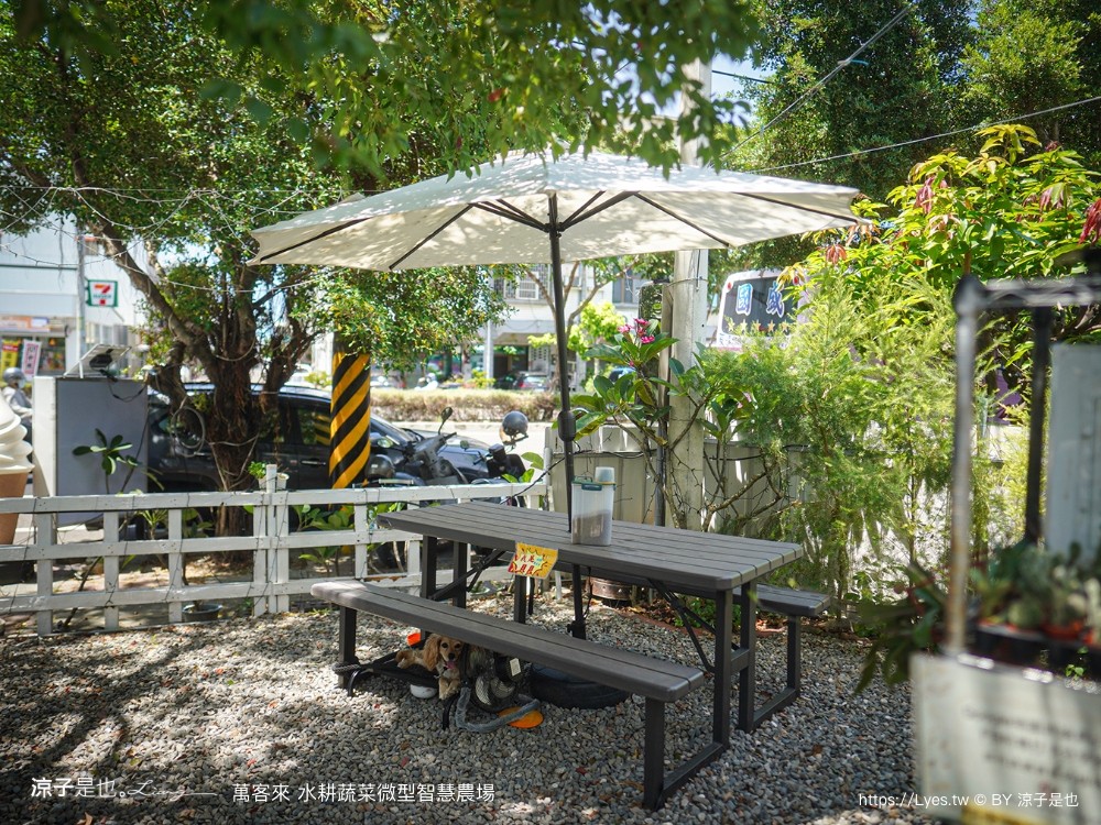 萬客來水耕蔬菜微型智慧農場 菜單 台南餐廳 台南美食 玻璃屋餐廳 台南景觀餐廳 早午餐