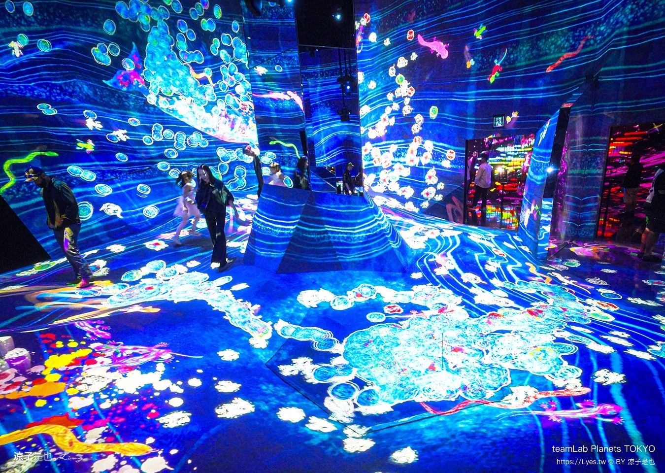 teamLab Planets TOKYO 東京teamLab 豐洲teamLab 東京景點 日本自由行