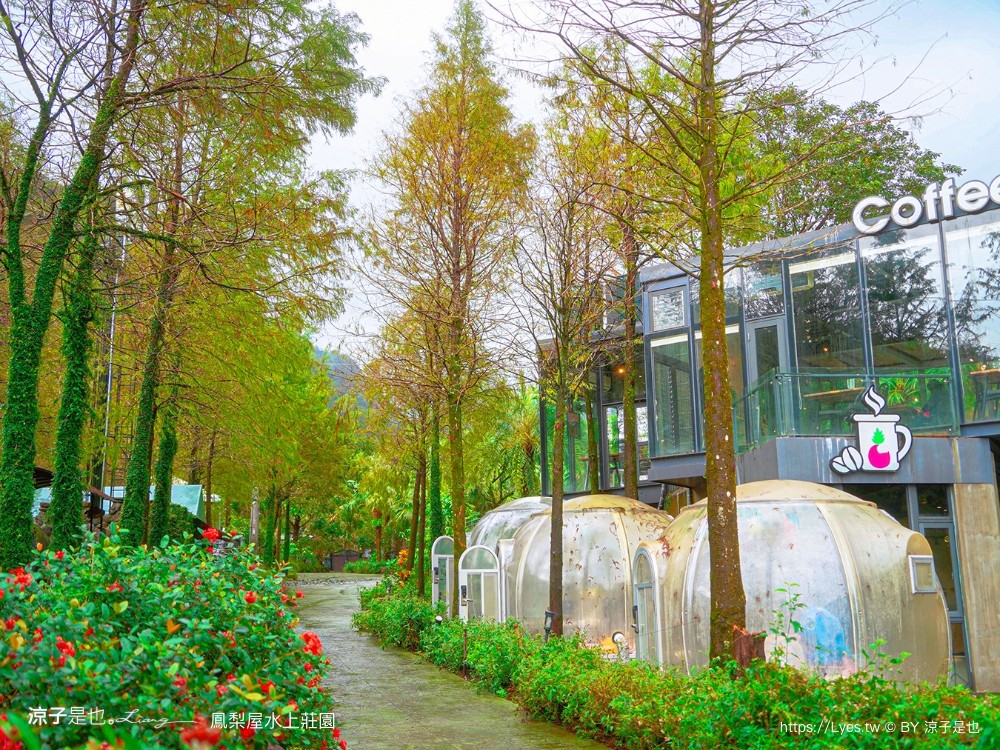 鳳梨屋水上莊園 宜蘭景點 一日遊 鳳梨屋門票 戲水池 動物園 水豚君 網美景點 水簾鞦韆 鳳梨泳池 餵羊 宜蘭豪華懶人露營 Villa 網美景點
