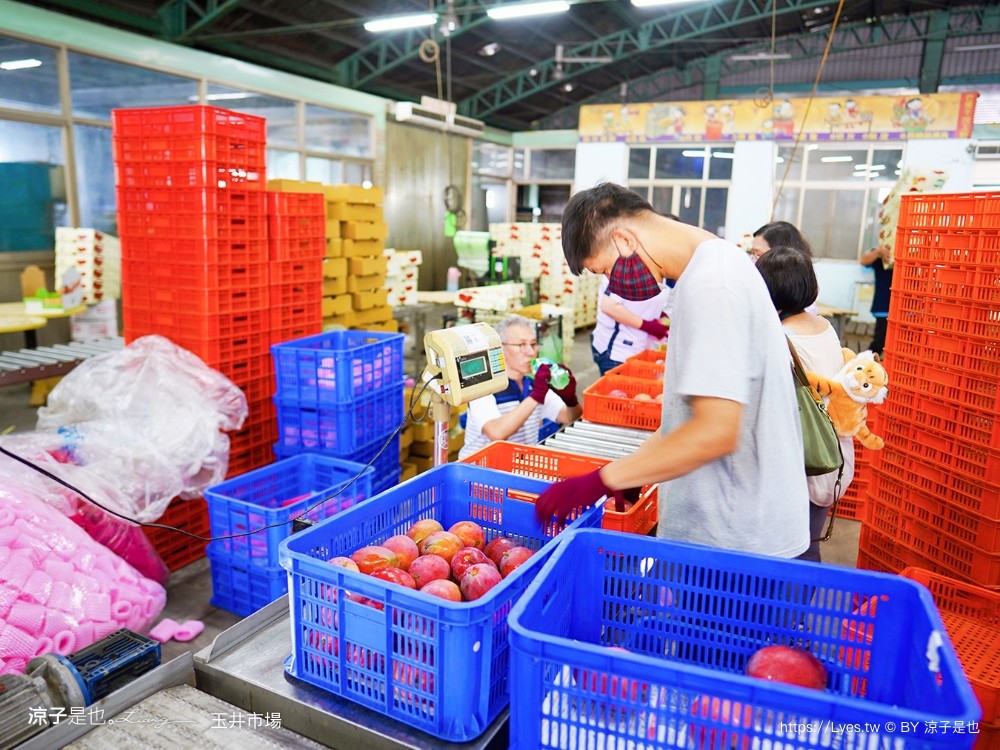 玉井青果市場 玉井市場 台南景點 玉井芒果批發 便宜芒果 台南旅遊