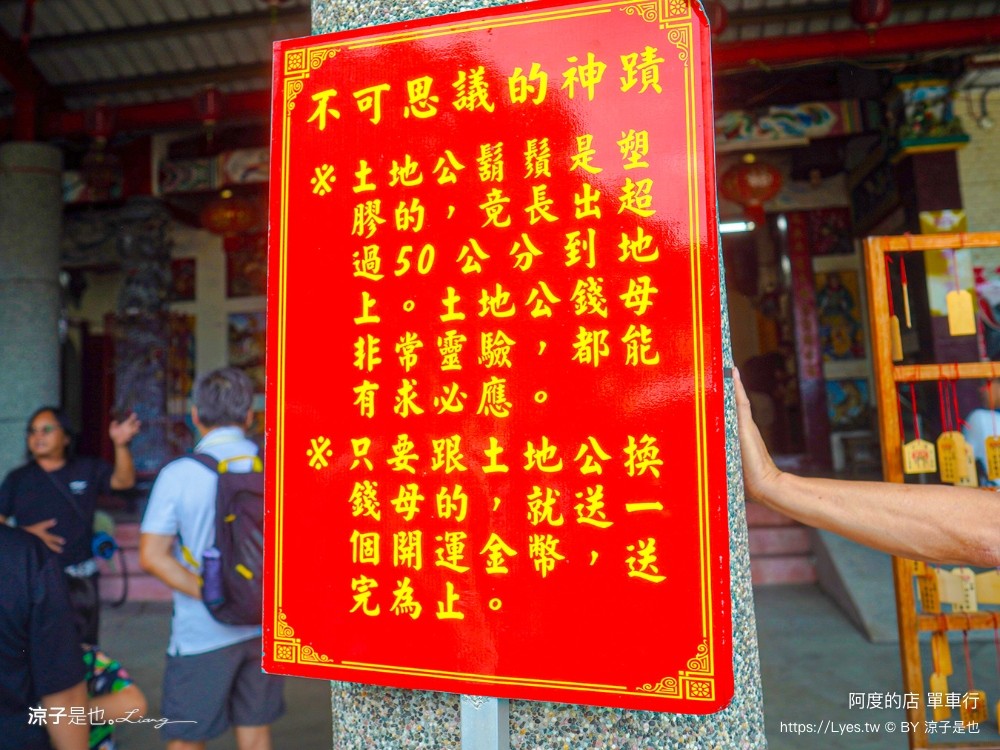 阿度的店 台東景點 鹿野 租車 電動單車遊 綠色隧道 躺馬路 體驗 自行車