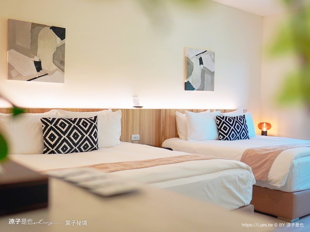 葉子祕境 南投埔里民宿 森林住宿 豪華懶人 netflix disney 日月潭 早餐 晚餐