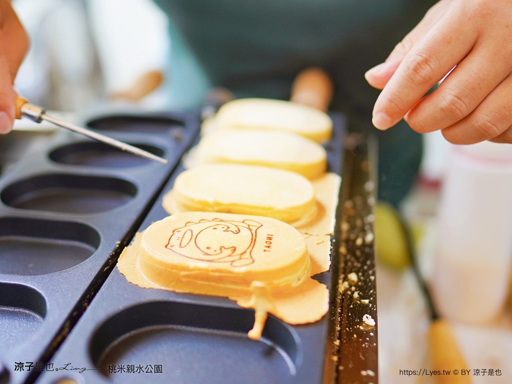 桃米親水公園 2024埔里親水節 南投埔里景點 免門票戲水池 親子玩水景點 山系親水公園 親子DIY