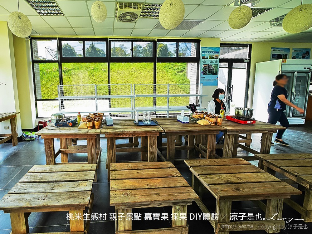 桃米生態村 南投埔里 親子景點 嘉寶果 採果 diy體驗