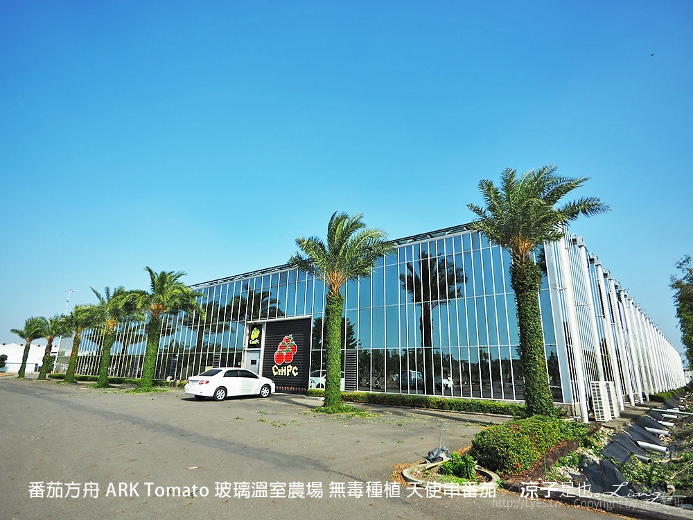 番茄方舟 ARK Tomato 玻璃溫室農場 無毒種植 天使串番茄
