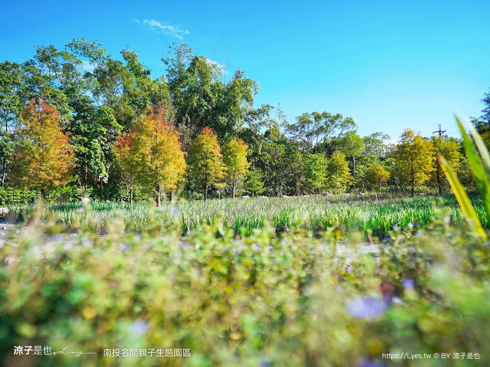 南投名間親子生態園區 南投親子公園 彩虹溜滑梯 盪鞦韆 免門票親子景點 野餐 天空步道 重新開幕