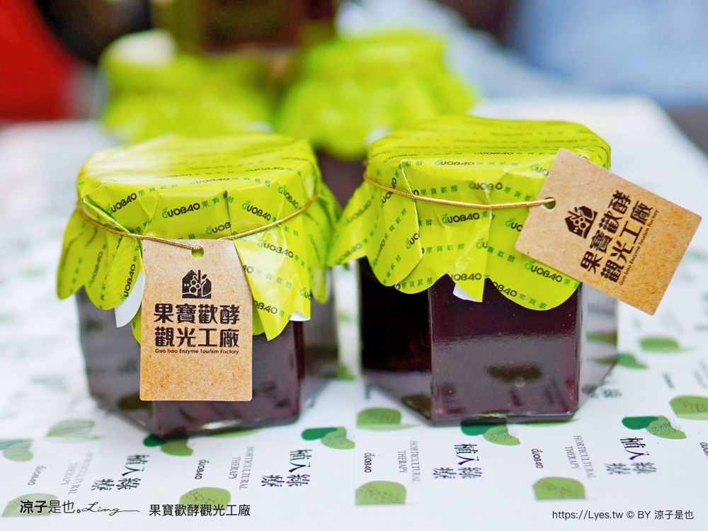 果寶歡酵觀光工廠 有機嘉寶果農場 門票 樹葡萄 南投埔里 親子景點 diy體驗 桃米休閒農業區