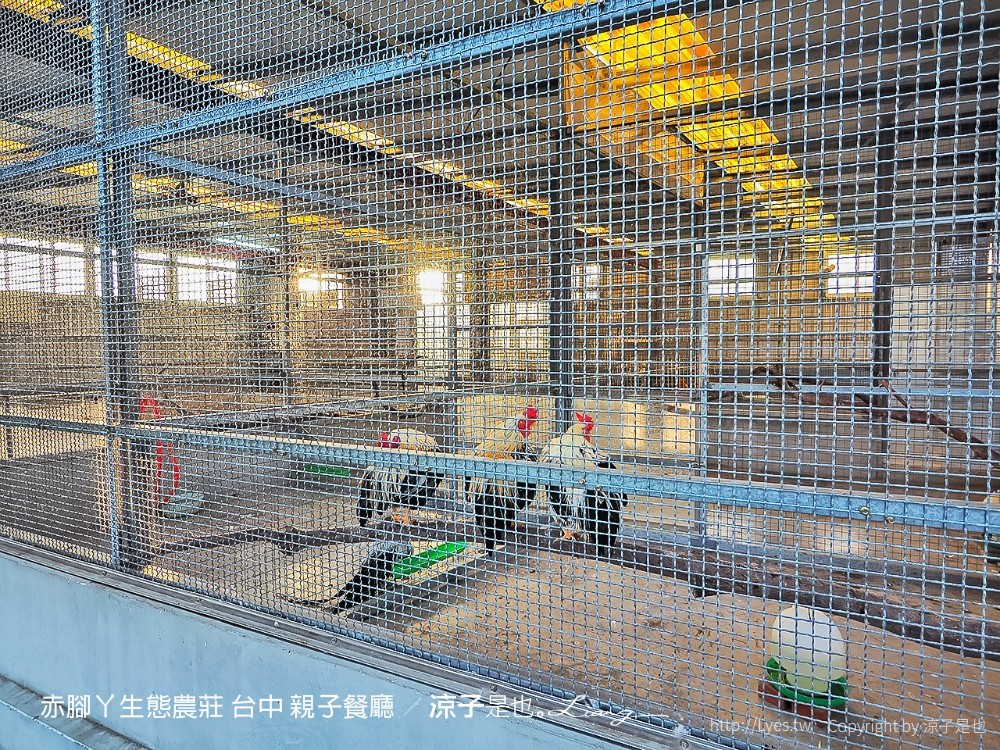 赤腳ㄚ生態農莊 台中 親子餐廳