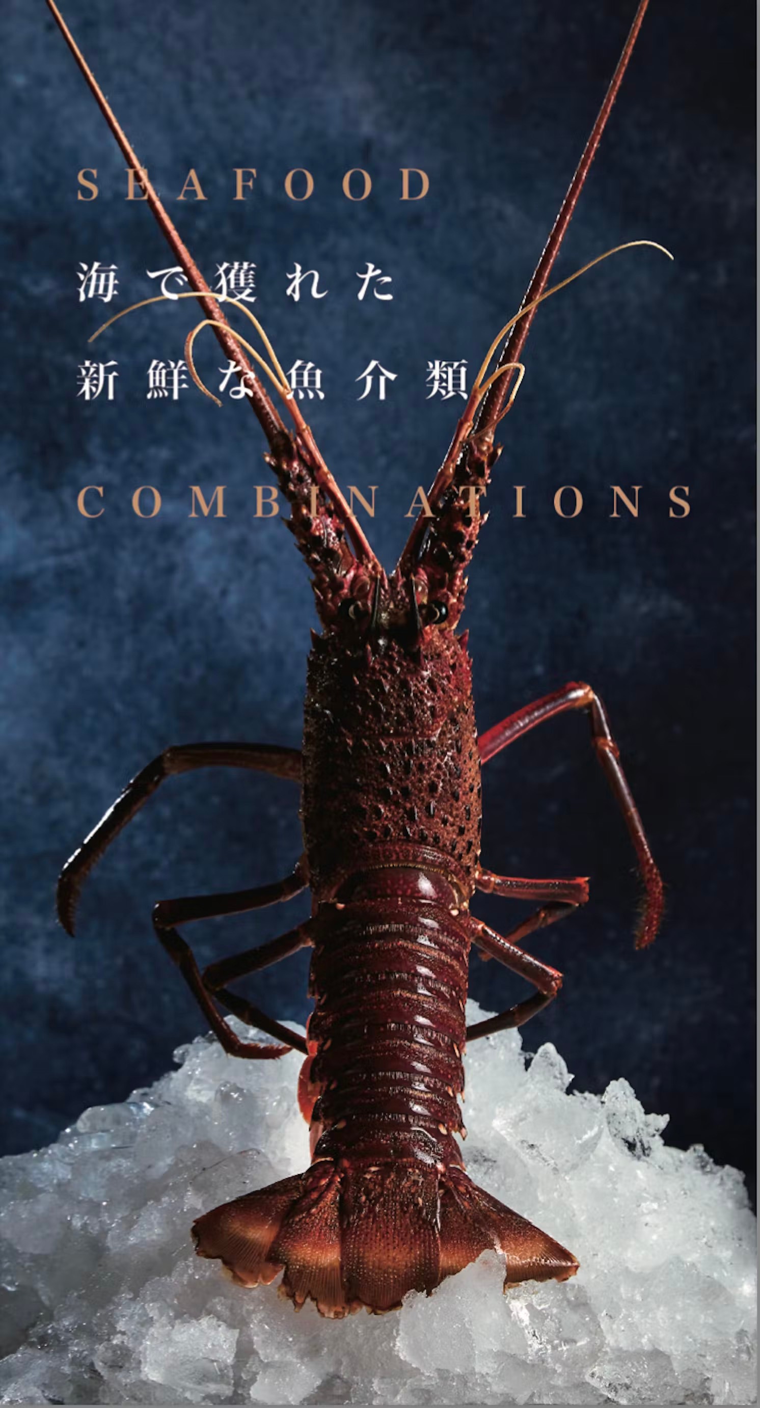 涮屋馬 菜單 新開幕 屋馬火鍋品牌 試營運 個人鍋物 和牛套餐 訂位 停車 台中火鍋餐廳 新光三越美食