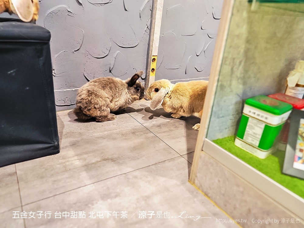 五金女子行 台中甜點 北屯下午茶