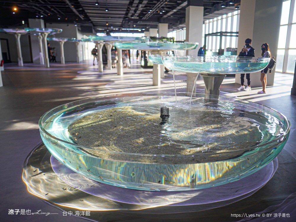 台中海洋館 門票優惠 交通 八大展區 免費票 台中親子景點 台中景點推薦 懶人包 攻略 必看特色