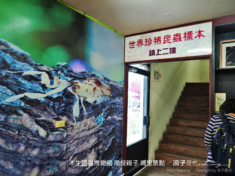 木生昆蟲博物館 南投親子 埔里景點