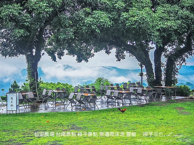 仙湖農場 台南景點 親子景點 無邊際泳池 露營