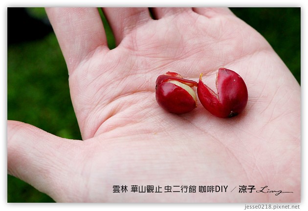 雲林古坑-華山觀止虫二行館(咖啡烘焙DIY篇)