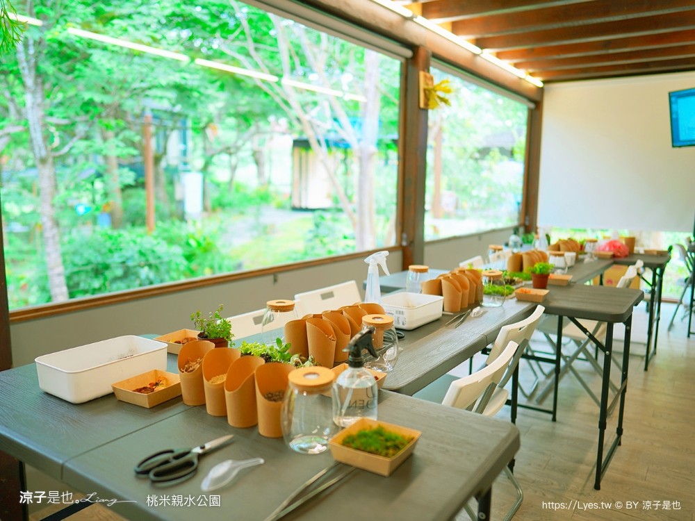 桃米親水公園 南投埔里景點 免門票戲水池 親子玩水景點 山系親水公園
