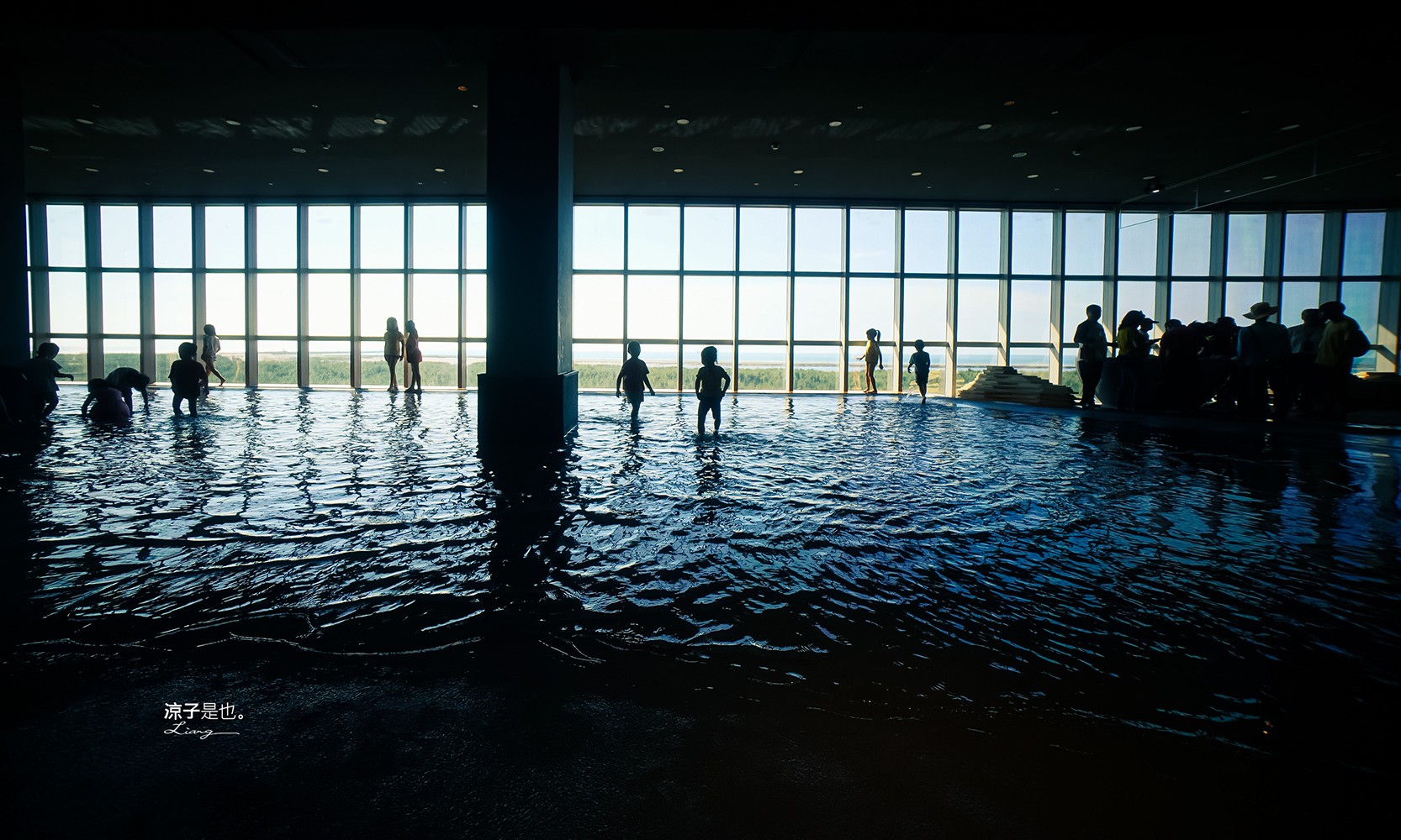台中海洋館 門票優惠 交通 八大展區 免費票 台中親子景點 台中景點推薦 懶人包 攻略 必看特色