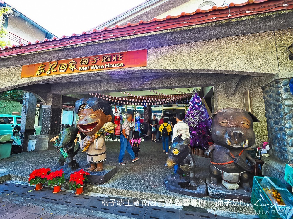 梅子夢工廠 南投景點 踏雪尋梅